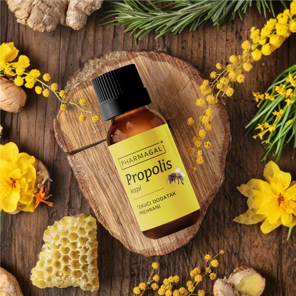 Propolis kapi
